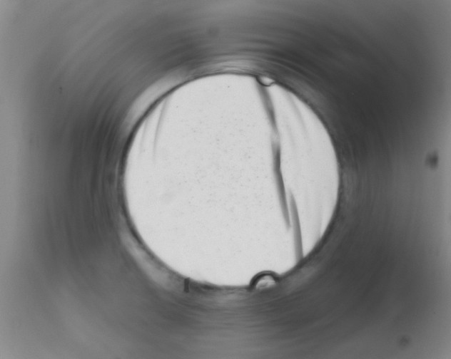 X0000113201426200910221030