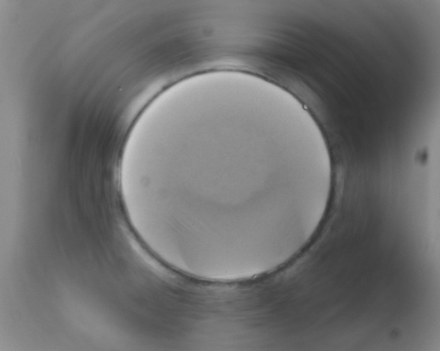 X0000113201428200910221030