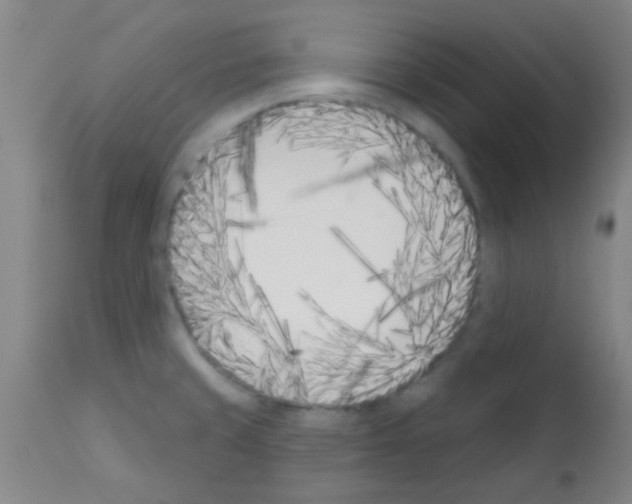 X0000113201429200910221030