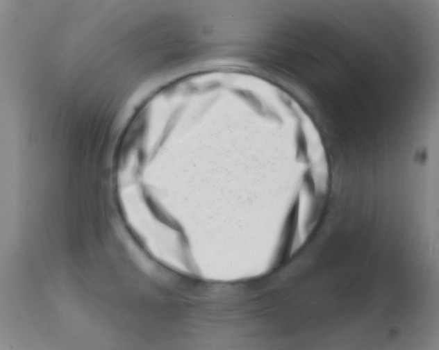 X0000113201430200910221030