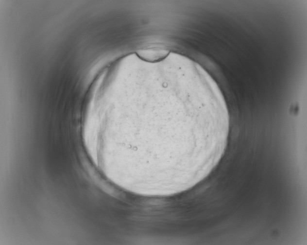 X0000113201431200910221030