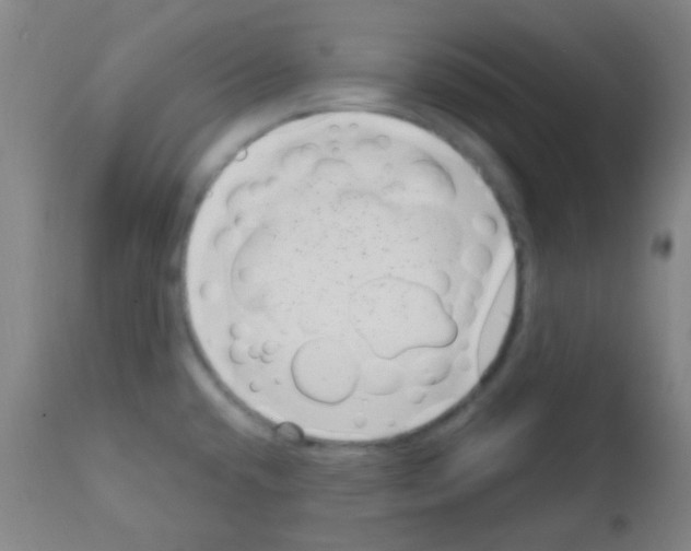 X0000113201432200910221030