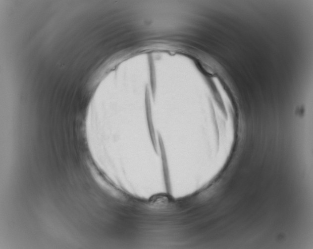 X0000113201433200910221030