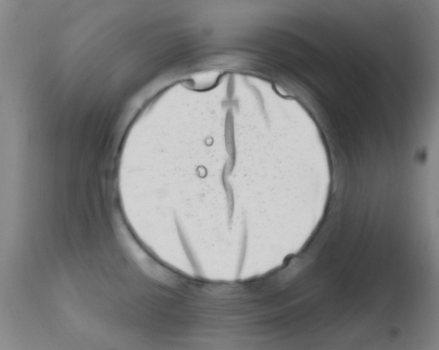 X0000113201434200910221030