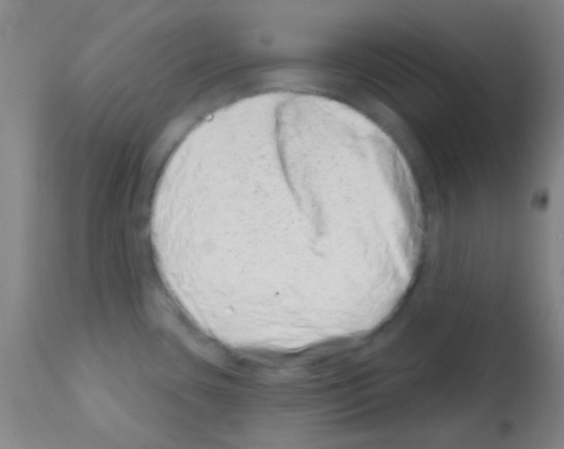 X0000113201435200910221030