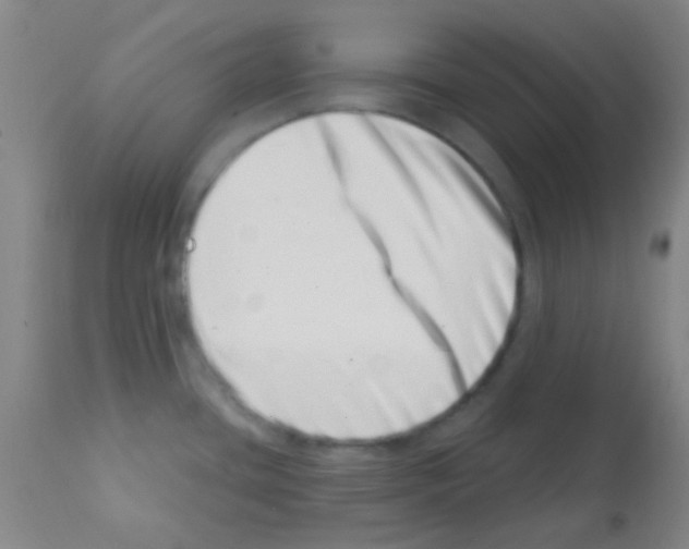 X0000113201436200910221030