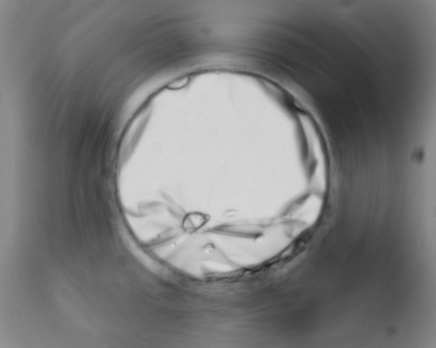 X0000113201437200910221030