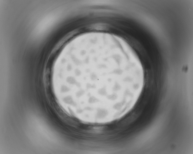 X0000113201438200910221030