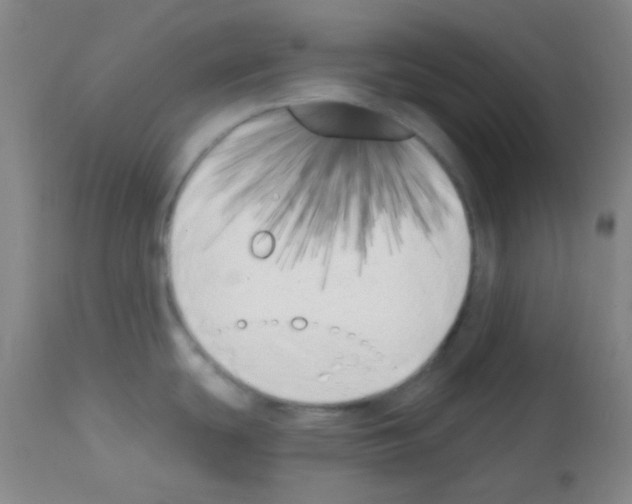 X0000113201439200910221030