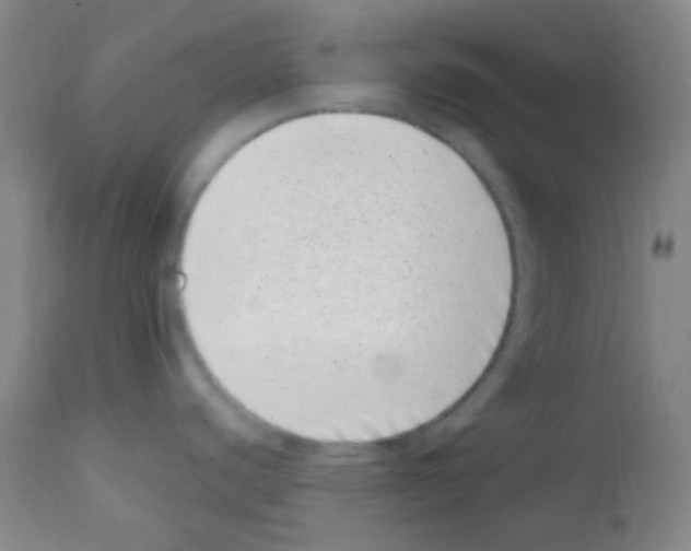 X0000113201440200910221030