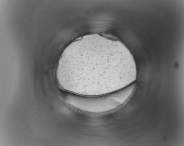 X0000113201441200910221029