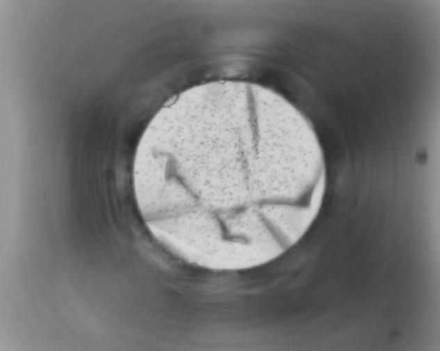 X0000113201442200910221029