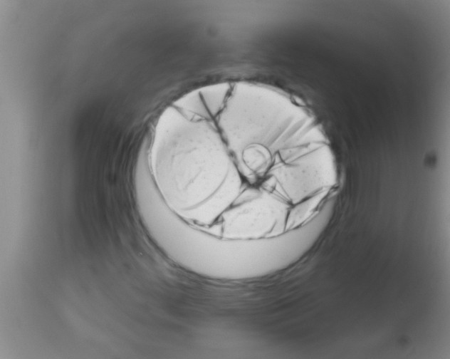 X0000113201444200910221029