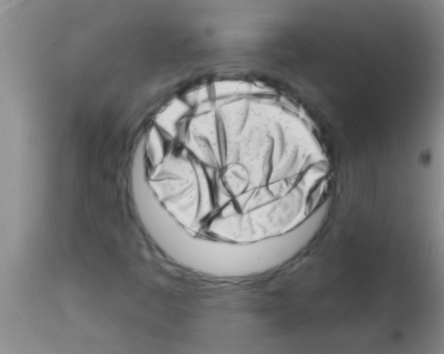 X0000113201445200910221029