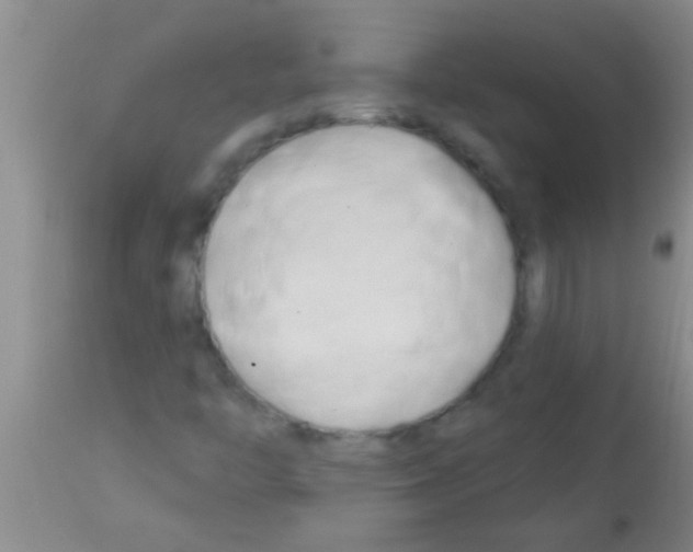 X0000113201446200910221029