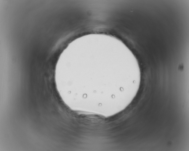 X0000113201447200910221029