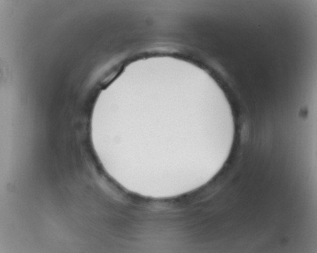 X0000113201448200910221029