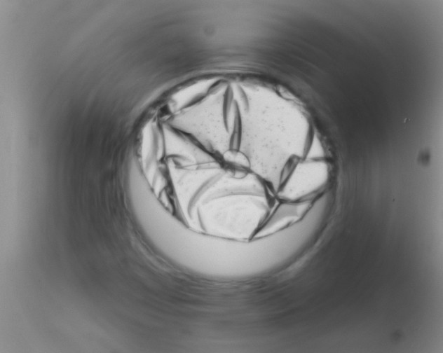 X0000113201449200910221029