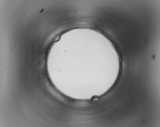 X0000113201450200910221029