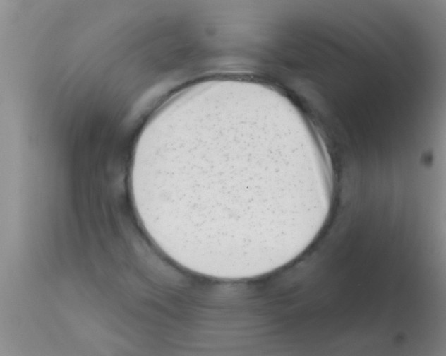 X0000113201451200910221029