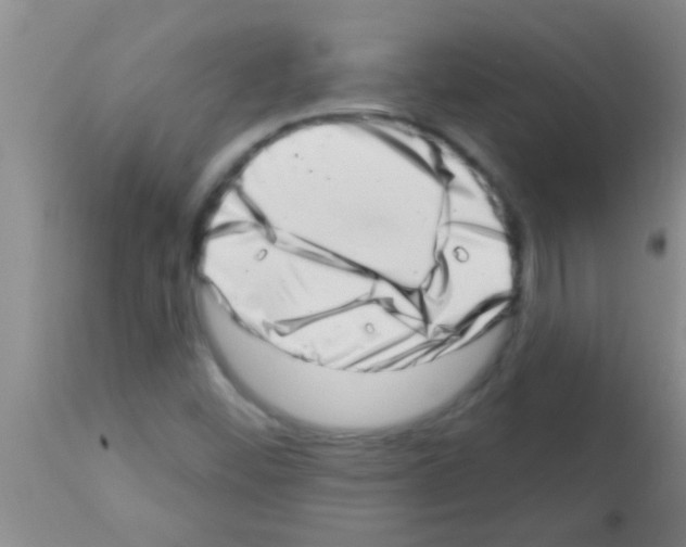 X0000113201452200910221029
