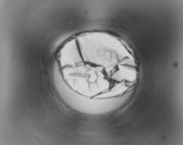 X0000113201453200910221029