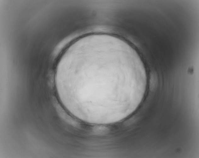 X0000113201454200910221029