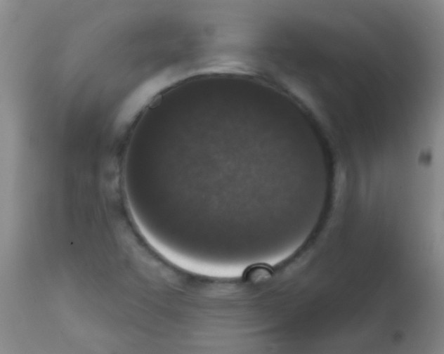 X0000113201455200910221029