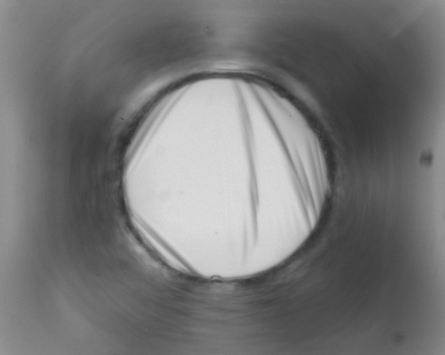 X0000113201456200910221029