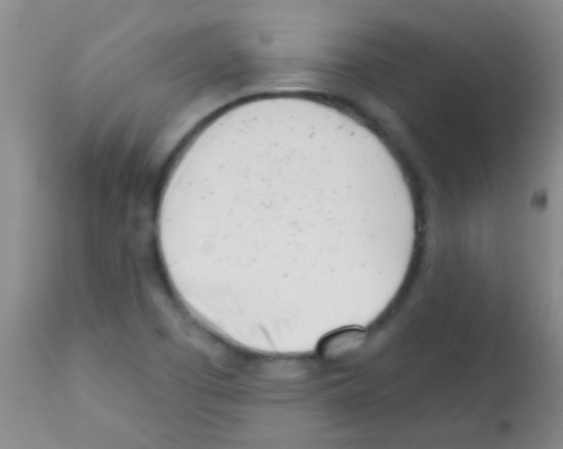 X0000113201457200910221029