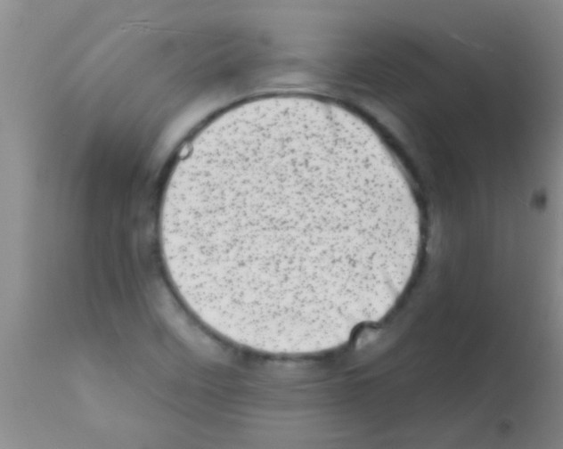 X0000113201458200910221029