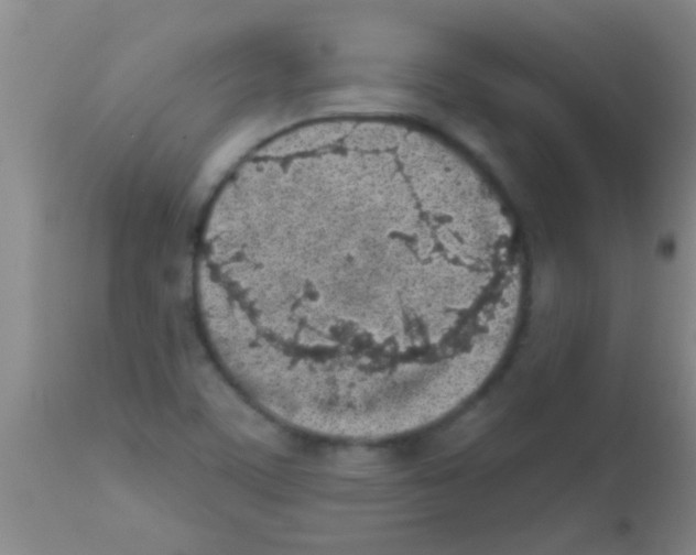 X0000113201459200910221029