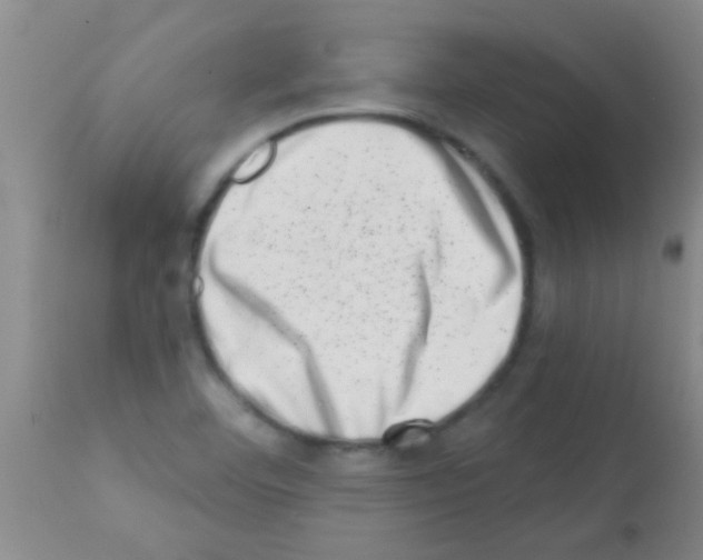 X0000113201460200910221029