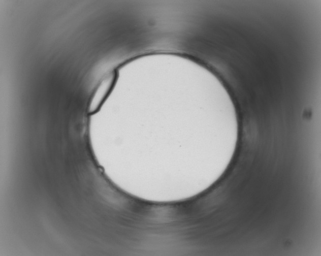 X0000113201461200910221029