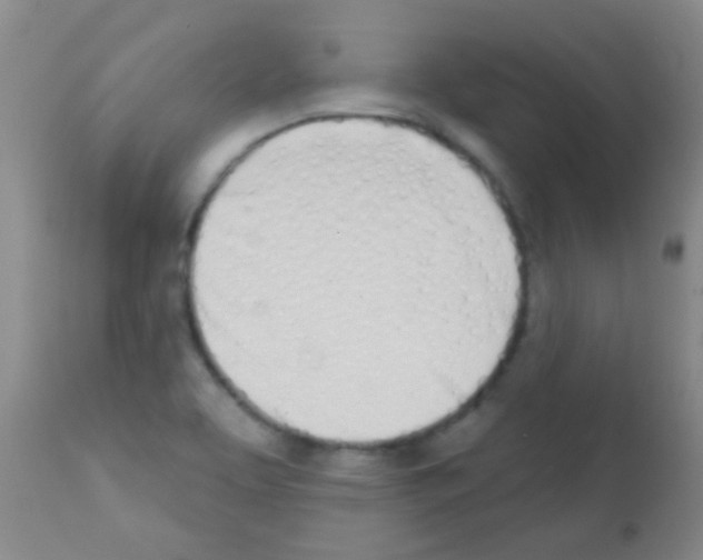X0000113201463200910221029