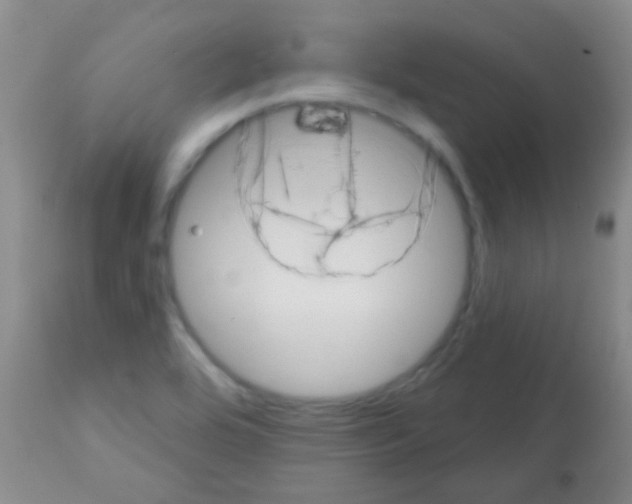 X0000113201464200910221029