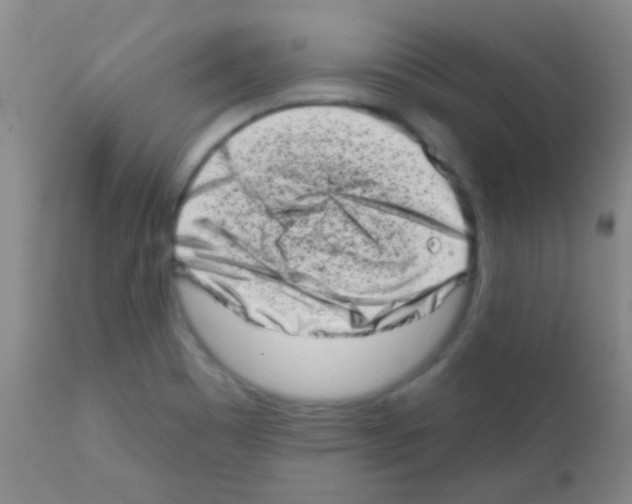 X0000113201465200910221029
