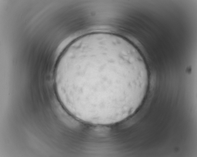 X0000113201466200910221029