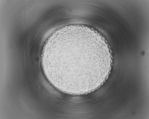X0000113201467200910221029