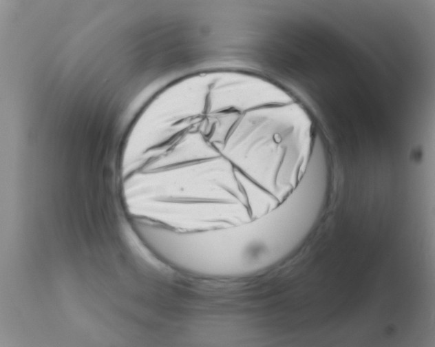 X0000113201468200910221029