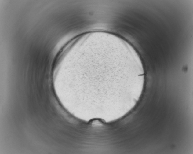 X0000113201469200910221029