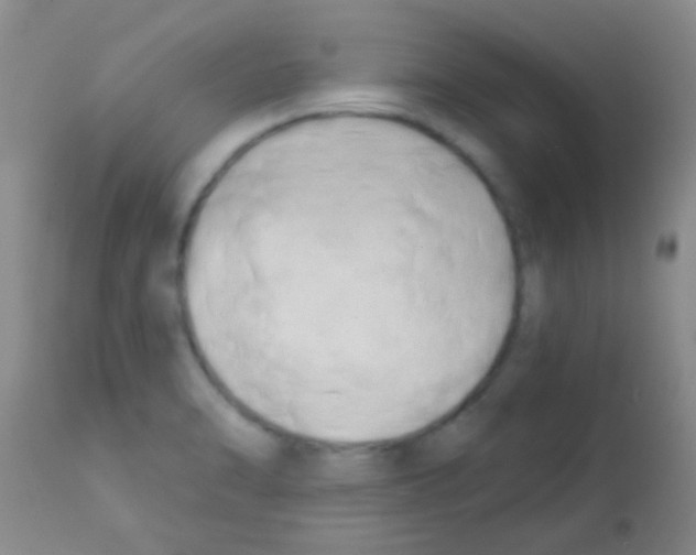 X0000113201470200910221029