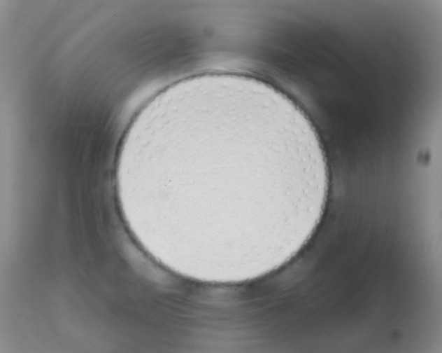 X0000113201471200910221029