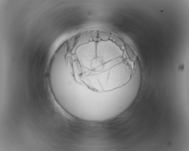 X0000113201472200910221029