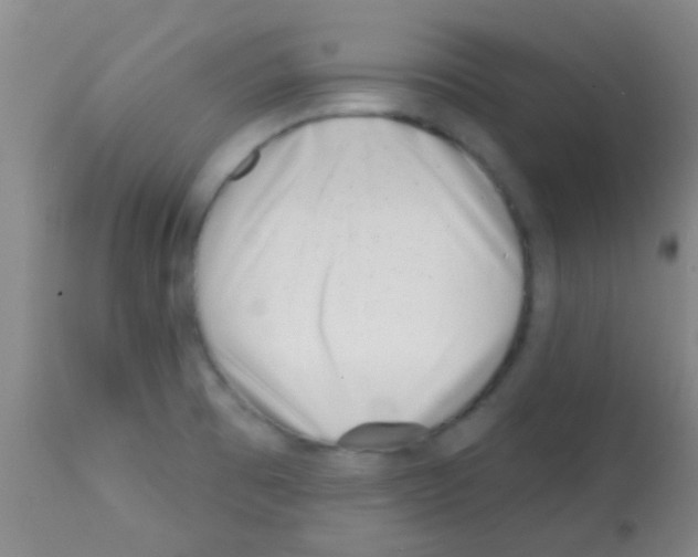 X0000113201473200910221029