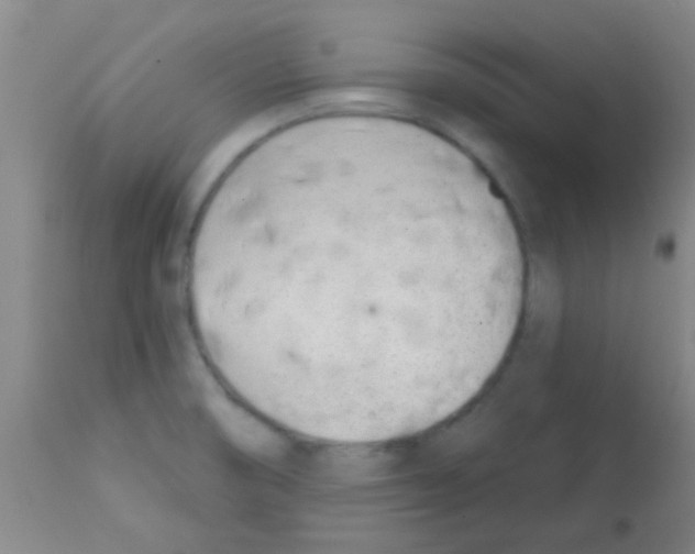 X0000113201474200910221029
