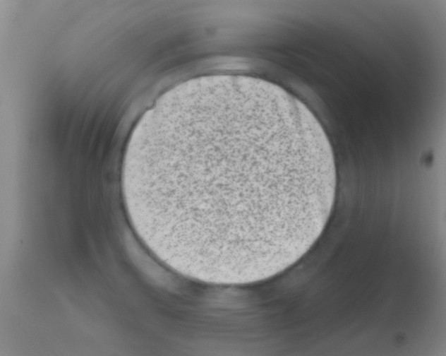 X0000113201475200910221029