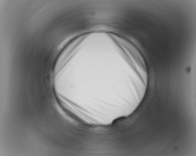 X0000113201476200910221029