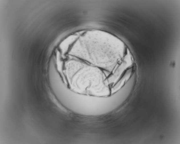 X0000113201477200910221029