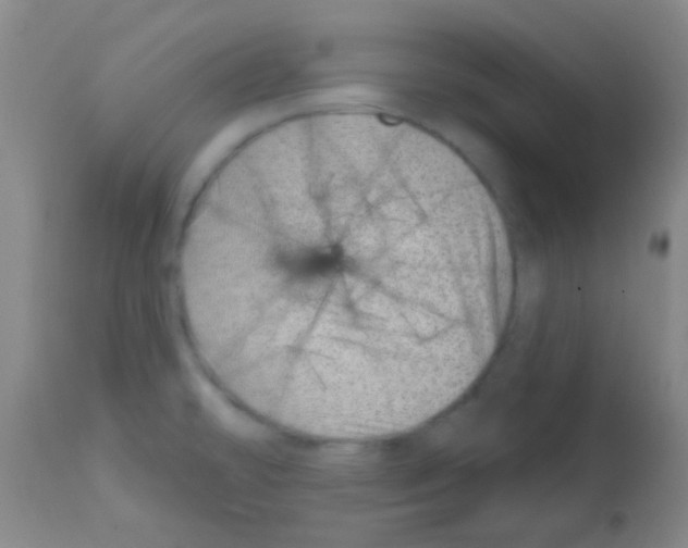 X0000113201478200910221029